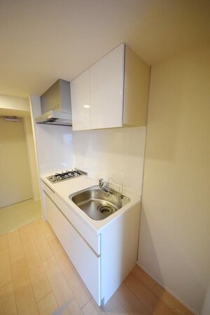 ザ・パーククロス門前仲町の物件内観写真